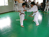 tya2k (103)_samu.gif